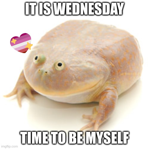 it is wednesday my dudes | IT IS WEDNESDAY; TIME TO BE MYSELF | image tagged in it is wednesday my dudes | made w/ Imgflip meme maker