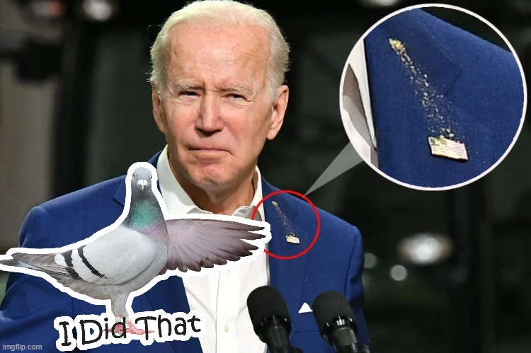 I did that | image tagged in biden,pigeon | made w/ Imgflip meme maker