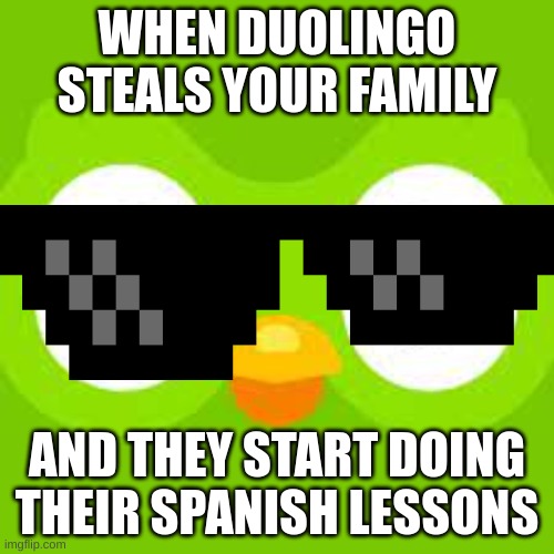 Duolingo meme | WHEN DUOLINGO STEALS YOUR FAMILY; AND THEY START DOING THEIR SPANISH LESSONS | image tagged in savage memes | made w/ Imgflip meme maker
