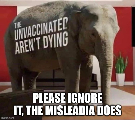 PLEASE IGNORE IT, THE MISLEADIA DOES | made w/ Imgflip meme maker