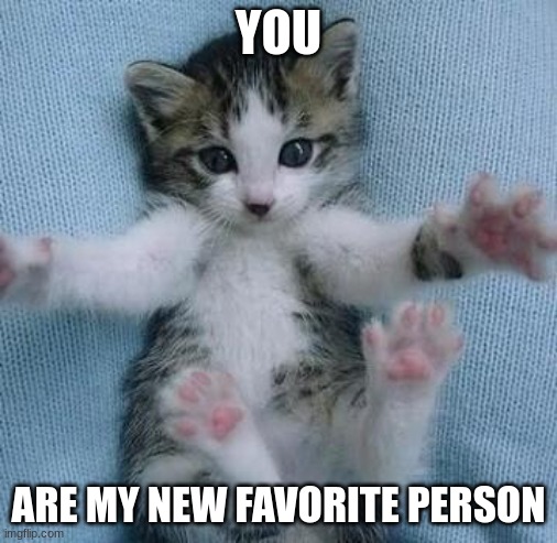 I love you this much  | YOU ARE MY NEW FAVORITE PERSON | image tagged in i love you this much | made w/ Imgflip meme maker