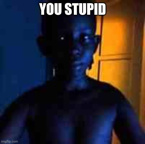 you stupid | YOU STUPID | image tagged in you stupid | made w/ Imgflip meme maker