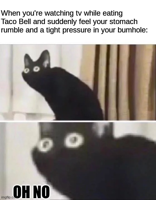 And queue the flames in the toilet | When you're watching tv while eating Taco Bell and suddenly feel your stomach rumble and a tight pressure in your bumhole:; OH NO | image tagged in oh no black cat | made w/ Imgflip meme maker