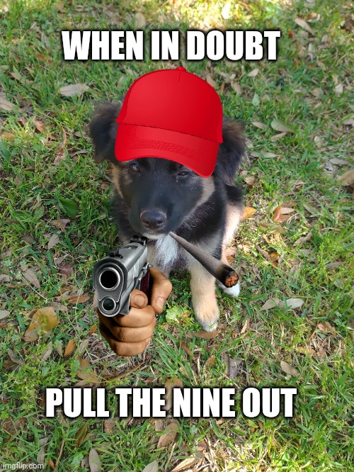 When in doubt | WHEN IN DOUBT; PULL THE NINE OUT | image tagged in puppy | made w/ Imgflip meme maker