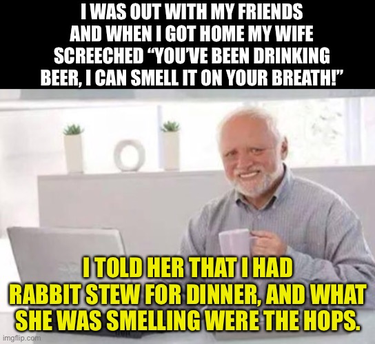 Hops | I WAS OUT WITH MY FRIENDS AND WHEN I GOT HOME MY WIFE SCREECHED “YOU’VE BEEN DRINKING BEER, I CAN SMELL IT ON YOUR BREATH!”; I TOLD HER THAT I HAD RABBIT STEW FOR DINNER, AND WHAT SHE WAS SMELLING WERE THE HOPS. | image tagged in harold | made w/ Imgflip meme maker