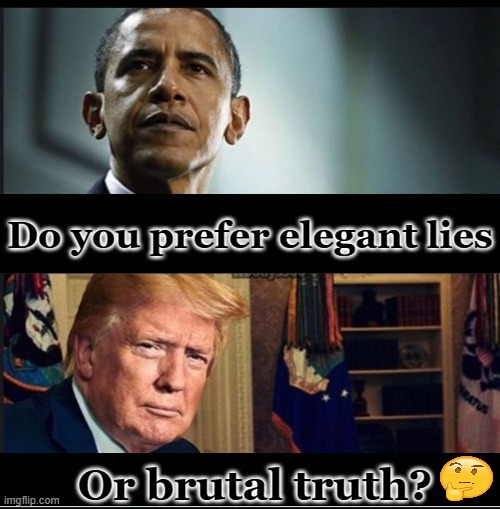 Lies VS Truth | Do you prefer elegant lies; Or brutal truth? | image tagged in political,donald trump,barack obama,truth,lies,choices | made w/ Imgflip meme maker