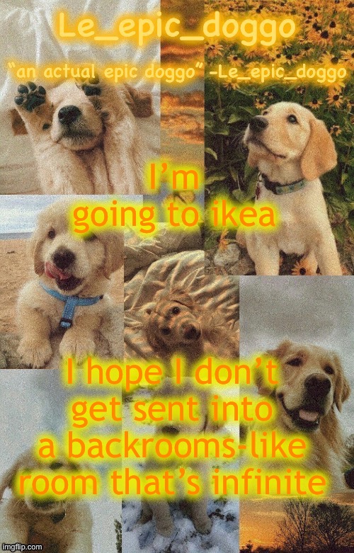 Doggo temp by doggo. Wait what that’s confusing | I’m going to ikea; I hope I don’t get sent into a backrooms-like room that’s infinite | image tagged in doggo temp by doggo wait what that s confusing | made w/ Imgflip meme maker