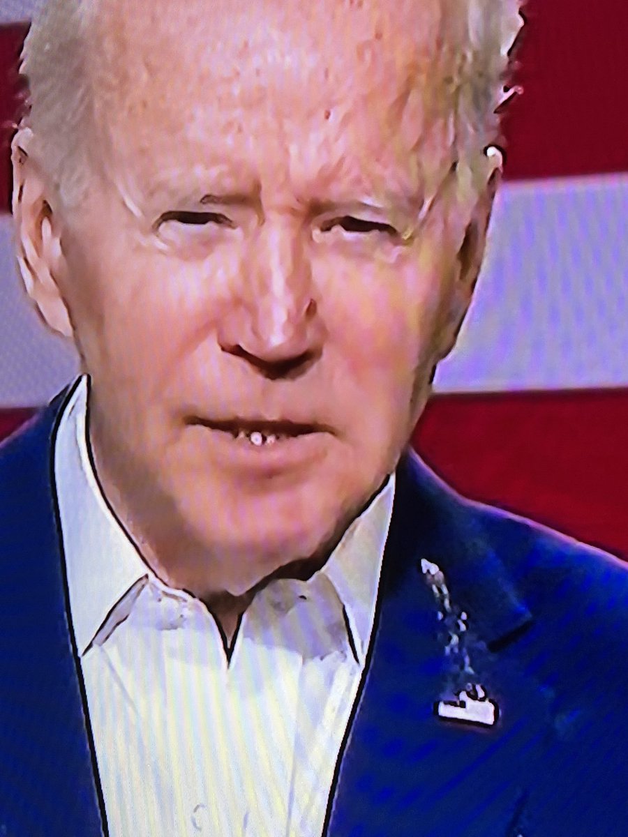 Bird Poops on Joe Biden Blank Meme Template
