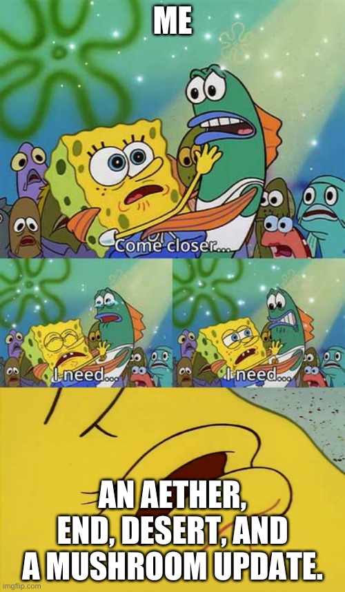 spongebob come closer template | ME; AN AETHER, END, DESERT, AND A MUSHROOM UPDATE. | image tagged in spongebob come closer template | made w/ Imgflip meme maker