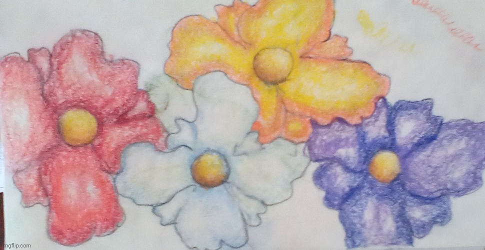Some flowers I drew | image tagged in flowers,drawings,art | made w/ Imgflip meme maker
