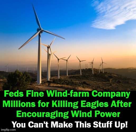 Unintended Consequences | image tagged in politics,windmill,fines,eagles,unintended consequences | made w/ Imgflip meme maker