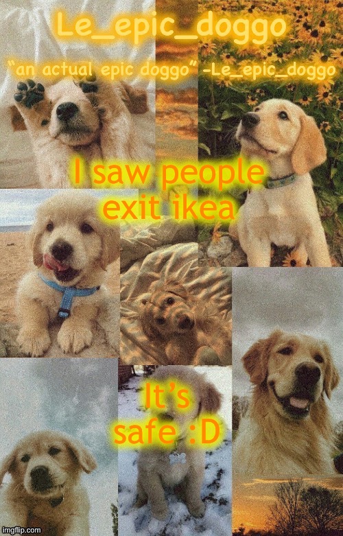 Doggo temp by doggo. Wait what that’s confusing | I saw people exit ikea; It’s safe :D | image tagged in doggo temp by doggo wait what that s confusing | made w/ Imgflip meme maker