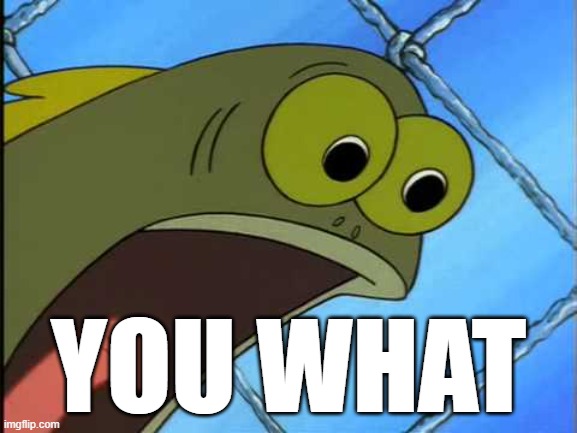 You what?! | YOU WHAT | image tagged in you what | made w/ Imgflip meme maker