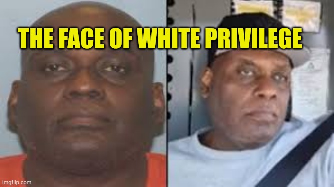 White Privledge In New York | THE FACE OF WHITE PRIVILEGE | image tagged in frank james white supremist,subway,false flag,government corruption,evilmandoevil,stupid liberals | made w/ Imgflip meme maker