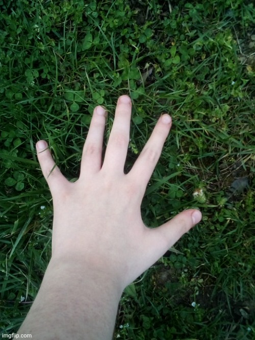 grass! | made w/ Imgflip meme maker