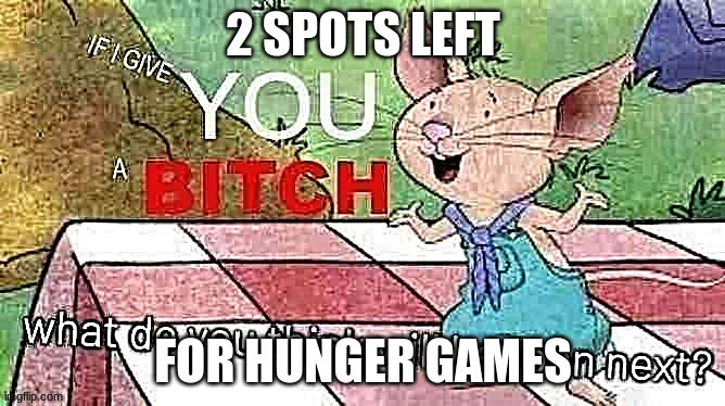 If I Give You A Bitch | 2 SPOTS LEFT; FOR HUNGER GAMES | image tagged in if i give you a bitch | made w/ Imgflip meme maker