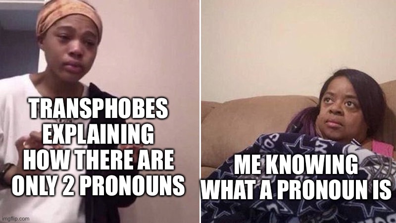 Do they know what a pronoun is | TRANSPHOBES EXPLAINING HOW THERE ARE ONLY 2 PRONOUNS; ME KNOWING WHAT A PRONOUN IS | image tagged in me explaining to my mom,pronouns,transphobes,bad grammar | made w/ Imgflip meme maker