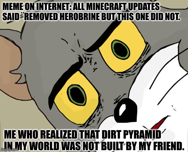 oh thats what it is. *deletes world* | MEME ON INTERNET: ALL MINECRAFT UPDATES SAID ¨REMOVED HEROBRINE BUT THIS ONE DID NOT. ME WHO REALIZED THAT DIRT PYRAMID IN MY WORLD WAS NOT BUILT BY MY FRIEND. | image tagged in memes,unsettled tom,minecraft,herobrine | made w/ Imgflip meme maker