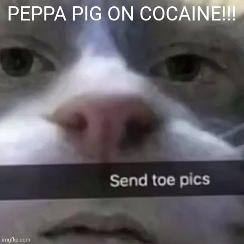 kat | PEPPA PIG ON COCAINE!!! | image tagged in kat | made w/ Imgflip meme maker