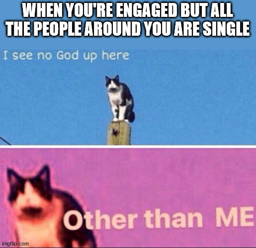 That engaged life tho.... | WHEN YOU'RE ENGAGED BUT ALL THE PEOPLE AROUND YOU ARE SINGLE | image tagged in no god other than me cat,engagement,single | made w/ Imgflip meme maker