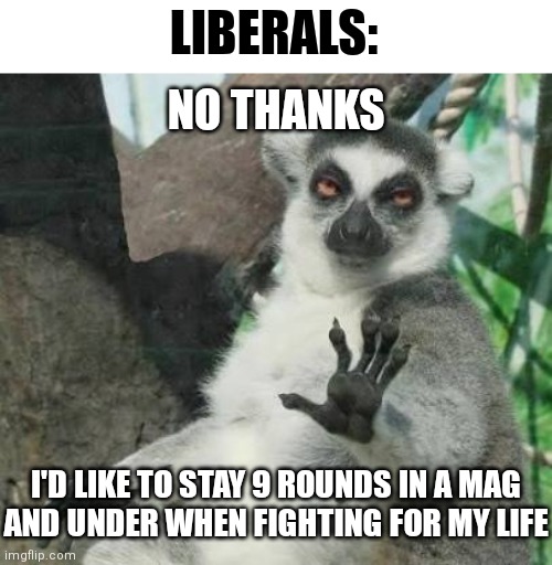When it comes to 2A infringement: | LIBERALS:; NO THANKS; I'D LIKE TO STAY 9 ROUNDS IN A MAG
AND UNDER WHEN FIGHTING FOR MY LIFE | image tagged in no thanks lemur,democrats,2a,gun control,biden | made w/ Imgflip meme maker