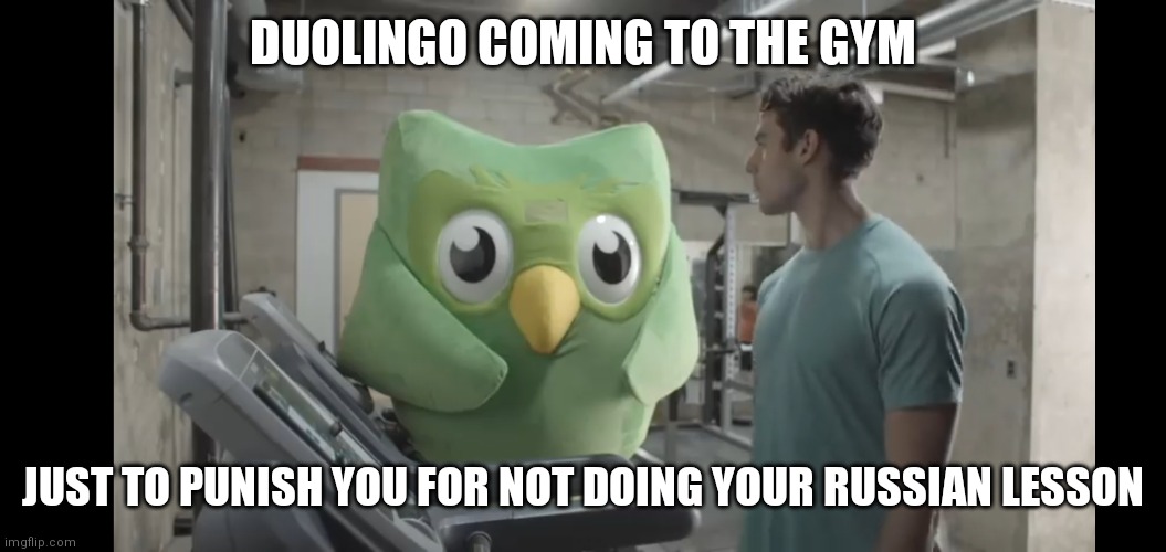 At the gym | DUOLINGO COMING TO THE GYM; JUST TO PUNISH YOU FOR NOT DOING YOUR RUSSIAN LESSON | image tagged in at the gym | made w/ Imgflip meme maker