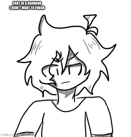 I like how it turned out though | PART OF A DRAWING I DIDN'T WANT TO FINISH | made w/ Imgflip meme maker