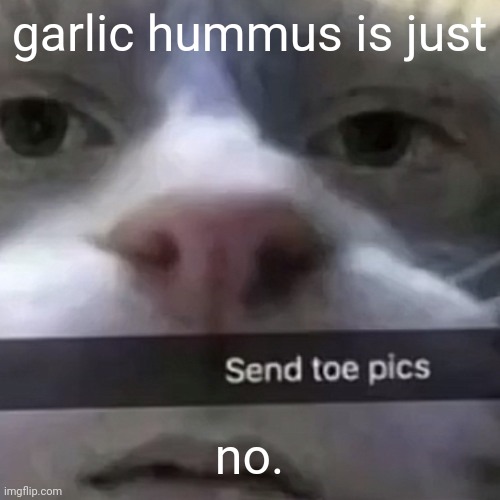 SksksoadhxjAooaokajsjsjsiaooajdjzkalsjxhcuxxuxujekshd | garlic hummus is just; no. | image tagged in kat | made w/ Imgflip meme maker