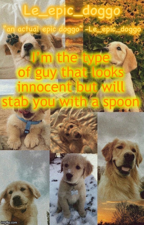 Doggo temp by doggo. Wait what that’s confusing | I’m the type of guy that looks innocent but will stab you with a spoon | image tagged in doggo temp by doggo wait what that s confusing | made w/ Imgflip meme maker