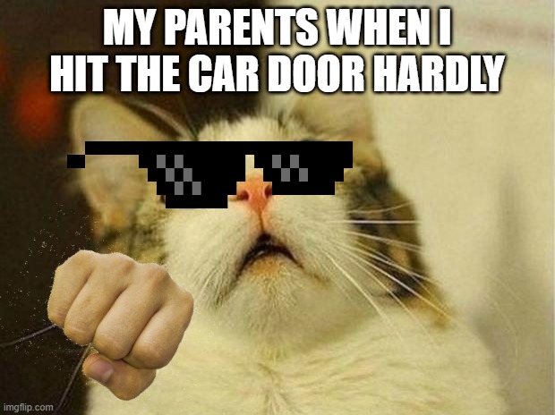 Scared Cat | MY PARENTS WHEN I HIT THE CAR DOOR HARDLY | image tagged in memes,scared cat | made w/ Imgflip meme maker