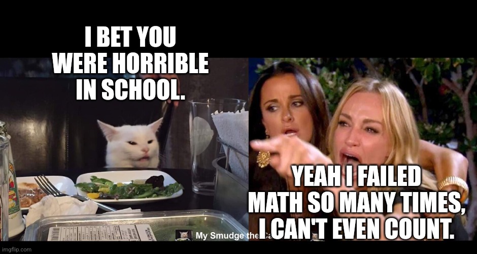 I BET YOU WERE HORRIBLE IN SCHOOL. YEAH I FAILED MATH SO MANY TIMES, I CAN'T EVEN COUNT. | image tagged in smudge the cat,woman yelling at cat | made w/ Imgflip meme maker