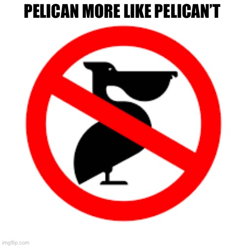 i’m sorry i just thought of this | PELICAN MORE LIKE PELICAN’T | image tagged in idk | made w/ Imgflip meme maker