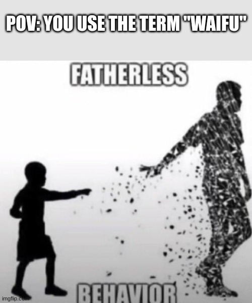 Fatherless Behavior | POV: YOU USE THE TERM "WAIFU" | image tagged in fatherless behavior | made w/ Imgflip meme maker
