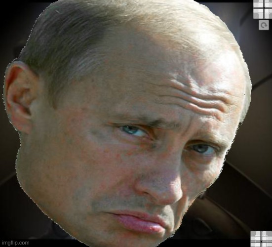 Putin No Bitches | image tagged in memes,vladimir putin,no bitches | made w/ Imgflip meme maker