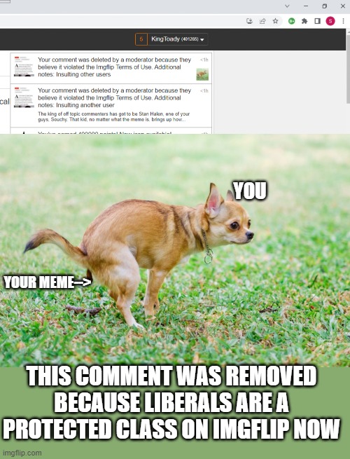 fuck bias bullshit mods | YOU; YOUR MEME-->; THIS COMMENT WAS REMOVED BECAUSE LIBERALS ARE A PROTECTED CLASS ON IMGFLIP NOW | image tagged in imgflip mods | made w/ Imgflip meme maker
