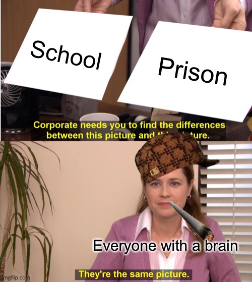 They're The Same Picture | School; Prison; Everyone with a brain | image tagged in memes,they're the same picture | made w/ Imgflip meme maker