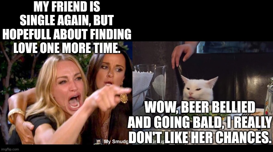 MY FRIEND IS SINGLE AGAIN, BUT HOPEFULL ABOUT FINDING LOVE ONE MORE TIME. WOW, BEER BELLIED AND GOING BALD, I REALLY DON'T LIKE HER CHANCES. | image tagged in smudge the cat,woman yelling at cat | made w/ Imgflip meme maker