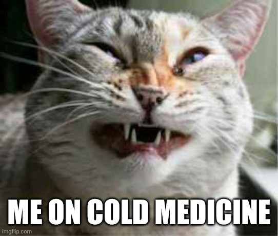 Cold meds | ME ON COLD MEDICINE | image tagged in sick humor,cold,sneezing,cats,lolcats,nerd | made w/ Imgflip meme maker