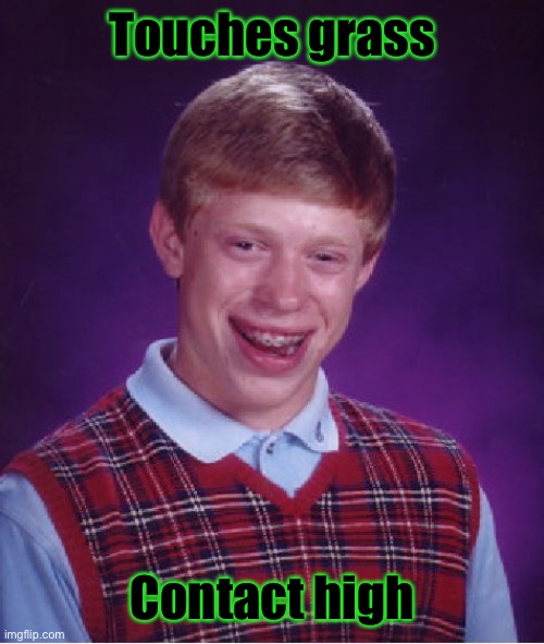 Touching grass, not always a good idea | Touches grass; Contact high | image tagged in memes,bad luck brian,touch grass,marijuana,weed | made w/ Imgflip meme maker