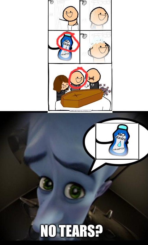 No tears from shampoo? | NO TEARS? | image tagged in no tears,megamind | made w/ Imgflip meme maker