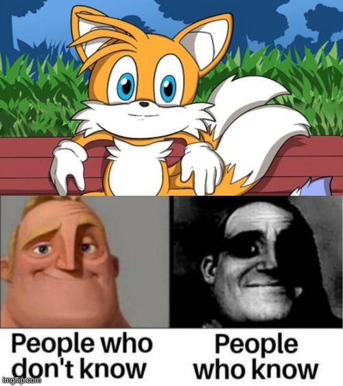 The less you know, the better.... | image tagged in mr incredible becoming uncanny,sonic the hedgehog,tails the fox,mr incredible | made w/ Imgflip meme maker