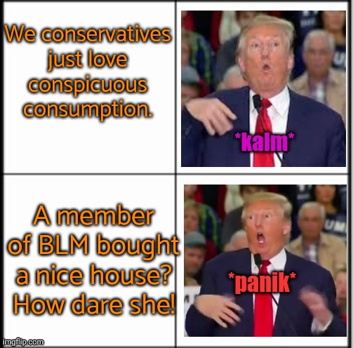 That's decadent! | We conservatives
just love
conspicuous
consumption. A member of BLM bought a nice house? How dare she! | image tagged in trump yes no calm panic kalm panik,contradiction,gop hypocrite | made w/ Imgflip meme maker