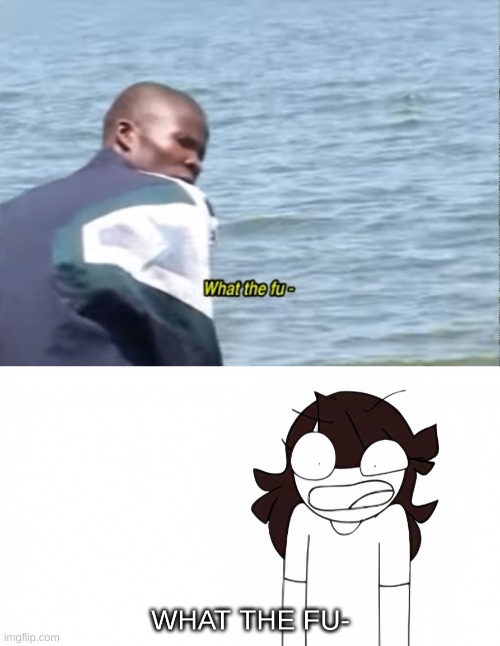 image tagged in what the fu-,jaiden animations what the fu- | made w/ Imgflip meme maker