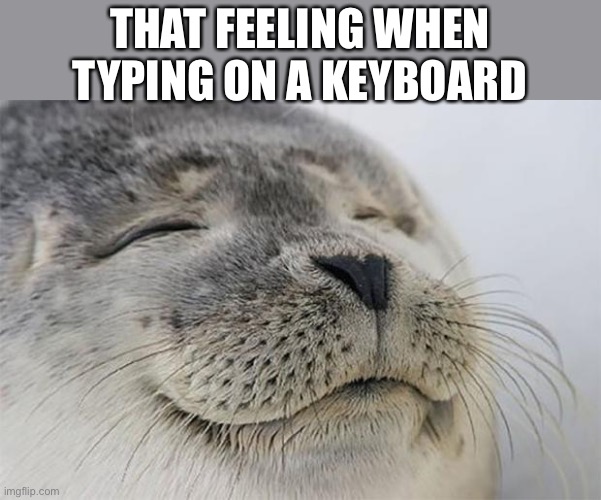 Keyboard!! | THAT FEELING WHEN TYPING ON A KEYBOARD | image tagged in memes,satisfied seal,funny,keyboard,animals,upvote if you agree | made w/ Imgflip meme maker