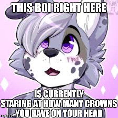 And it's uh.... a lot | THIS BOI RIGHT HERE; IS CURRENTLY STARING AT HOW MANY CROWNS YOU HAVE ON YOUR HEAD | image tagged in wholesome,furry | made w/ Imgflip meme maker