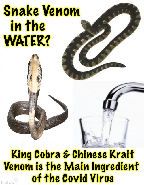 It was Spread through the WATER?  Not as a Respiratory Virus?  Poisoned with Venom… Wow! | Snake Venom
  in the
WATER? King Cobra & Chinese Krait
Venom is the Main Ingredient 
of the Covid Virus | image tagged in memes,uck the globalists,uck progressives,uck brandon voters,fjb,f j b | made w/ Imgflip meme maker