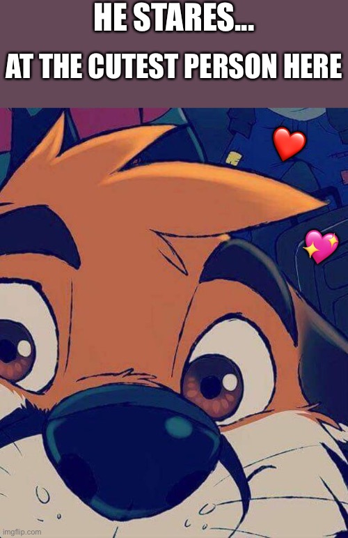 *stare* | HE STARES... AT THE CUTEST PERSON HERE; ❤️; 💖 | image tagged in wholesome,furry | made w/ Imgflip meme maker