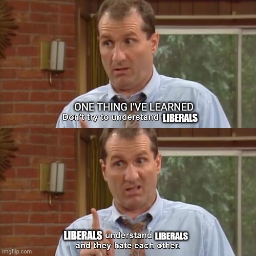 Don't even try | ONE THING I'VE LEARNED; LIBERALS; LIBERALS; LIBERALS | image tagged in understand,liberals,al bundy | made w/ Imgflip meme maker