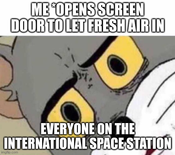 Tom Cat Unsettled Close up | ME *OPENS SCREEN DOOR TO LET FRESH AIR IN; EVERYONE ON THE INTERNATIONAL SPACE STATION | image tagged in tom cat unsettled close up | made w/ Imgflip meme maker