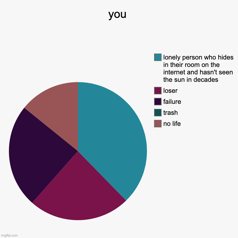 you | no life, trash, failure, loser, lonely person who hides in their room on the internet and hasn't seen the sun in decades | image tagged in charts,pie charts | made w/ Imgflip chart maker